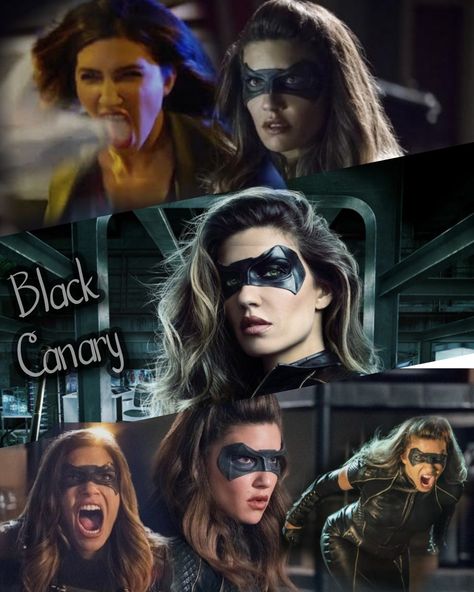 Dinah Drake/Black Canary Arrow Characters, Mount Justice, Juliana Harkavy, Dinah Drake, Black Siren, Supergirl 2015, Drake Quotes, Thea Queen, Cw Dc