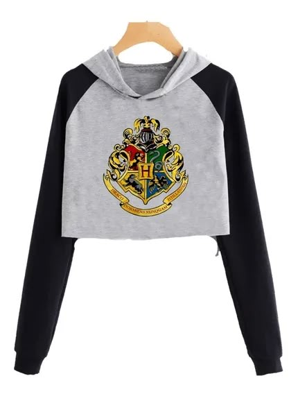 Buzos De Harry Potter Gryffindor | Mercado Libre Argentina Outfit Harry Potter, Sweatshirt Women Outfit, Crop Top Long Sleeves, Harry Potter Hoodie, Hogwarts Gryffindor, Stile Harry Potter, Harry Potter Accessories, Harry Potter Merch, Hogwarts Outfits