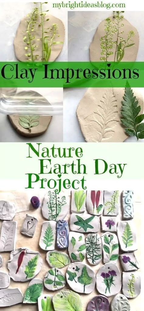 Plant Activities For Toddlers, Preschool Nature Theme, Nature Themed Classroom, Clay Imprints, Nature Walk Activities, Clay Impressions, Earth Day Project, Save The Forest, Earth Day Projects