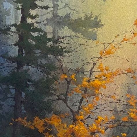 Cindy Baron on Instagram: "“Fall Classic” 20x10 watercolor. #watercolors #gouache #transparent #opaque #fineartpaintings #trees #fallcolors #goldencolors #atmospheric #paintingmoods #watercolorandgouache #pinetrees" Cindy Baron Watercolor, Autumn Tree Watercolor, Autumn Trees Watercolor, Watercolor Aspen Trees, Fall Gouache Painting, Autumn Watercolor Landscapes, Fall Tree Watercolor Painting, Fall Trees Painting, Cindy Baron