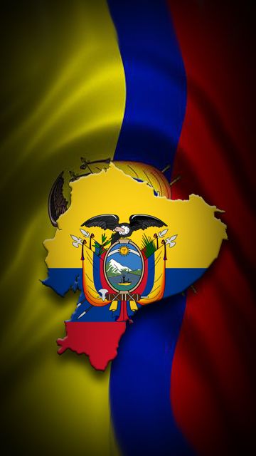 100% Ecuadorian Ecuador Aesthetic Wallpaper, Equador Flag, Ecuador Aesthetic Flag, Bsc Ecuador, South America Flag, Ecuador Flag, La Tri Ecuador, Flag Of Venezuela, Painting Logo