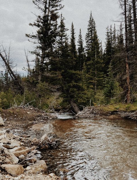 Mt sherman, Colorado Babbling Brook, Let Me Go, South Park, Colorado, Water