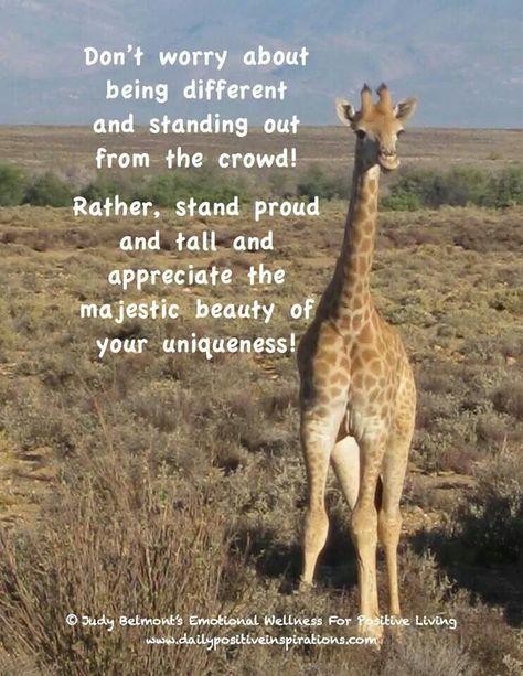 Fun Facts About Giraffes, Giraffe Quotes, Cape Horn, Giraffe Pictures, Giraffe Art, A Giraffe, Positive Inspiration, Cute Giraffe, Don't Be Afraid