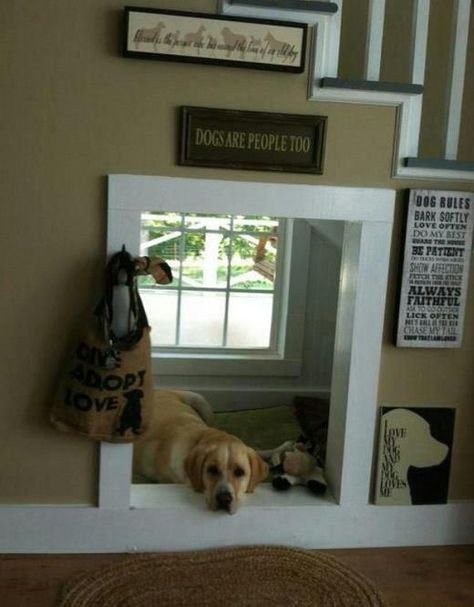 Canine Training Tips House Under Stairs, Brilliant Ideas Diy, Room Under Stairs, Indoor Dog House, Friends Design, Positive Dog Training, Pet Spaces, Pet Projects, Basic Dog Training