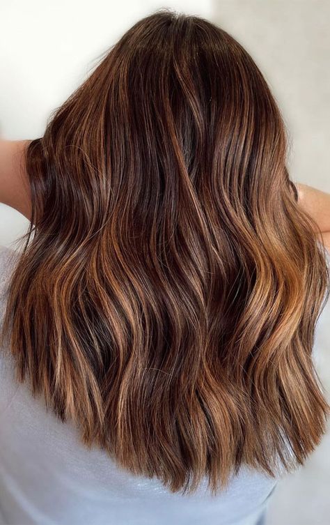 Toning Down Highlights Brunettes, Brown Hair Colors 2023, Warm Brunette With Highlights, Warm Highlights On Brown Hair, Brown Warm Hair, Brown Hair Warm Highlights, Warm Highlights For Light Brown Hair, Warm Brunette Hair Color With Highlights, Medium Golden Brown Hair