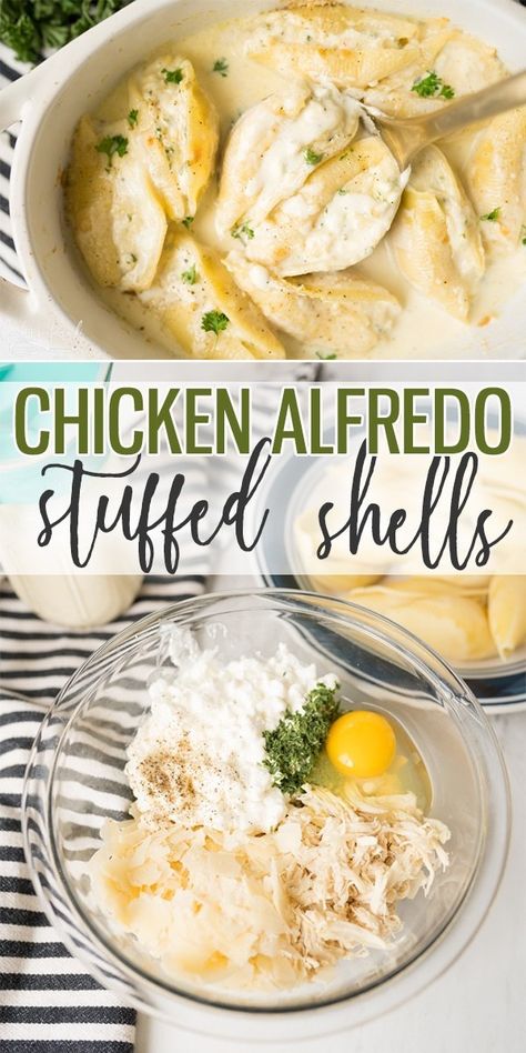 Stuffed Shells Beef, Jarred Alfredo Sauce, Alfredo Stuffed Shells, Chicken Alfredo Stuffed Shells, Chicken Stuffed Shells, Cooking With Karli, Stuffed Shells Ricotta, Resep Pasta, Alfredo Sauce Recipe