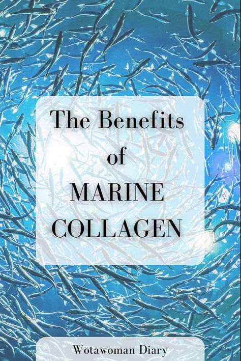 Marine Collagen Benefits, Fish Allergy, Good Vitamins For Women, Supplements Packaging, Collagen Benefits, Hair Growth Supplement, Collagen Supplements, Supplements For Women, Marine Collagen