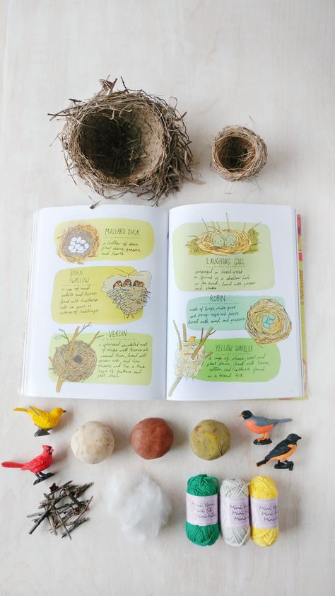 Build A Bird Nest Activity, Bird Unit Study Kindergarten, Best Homeschool Unit Studies, Bird Study, Birds For Kids, Homeschool Nature Study, Birds Nests, Forest School Activities, Nature Studies