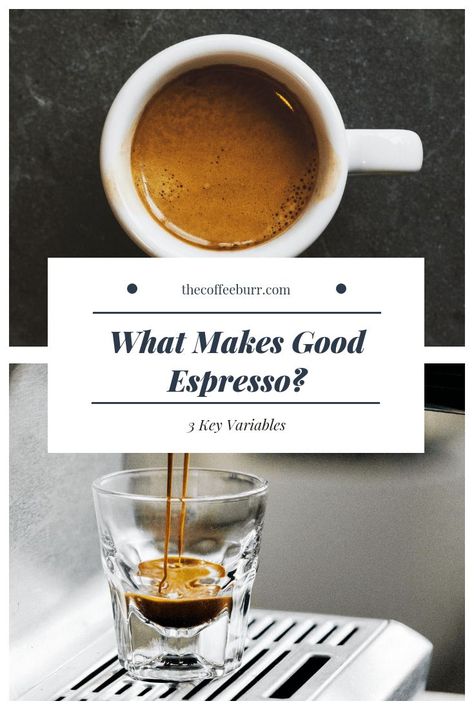 Espresso Drink Recipes, Raw Coffee Beans, Types Of Coffee Beans, Coffee Facts, Coffee Bean Grinder, Ground Coffee Beans, Coffee Grinds, Cafe Ideas, Things To Keep In Mind