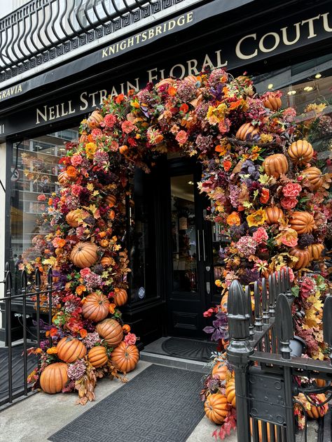 🍂✨ Our Belgravia boutique is dressed for Autumn! This display explores rich colours, pumpkins, and earthy textures that bring the warmth and beauty of the season to life. 🎃🍁 Each detail is thoughtfully crafted to capture the magic of Fall.🍂✨ Pumpkin Archway, Luxury Florists, Autumn Display, Harvest Thanksgiving, Diy Fall Wreath, Fortnum And Mason, Halloween Displays, Halloween Trees, Kew Gardens