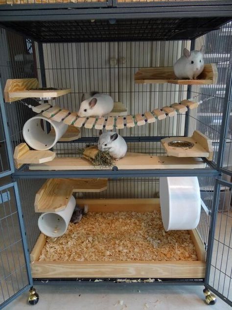 Chinchilla Care, Chinchilla Toys, Chinchilla Pet, Chinchilla Cage, Cages For Sale, Ferret Cage, Rat Cage, Hamster Cages, Hamster House