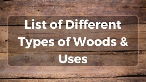 Wood is an incredibly versatile and widely used material that comes in a variety of shapes, sizes, and species. Understanding the different types of woods and their uses is essential for selecting the perfect wood for your project. In this article, we’ll take a closer look at the many different types of wood and their ... Read more Different Types Of Wood, Spoken English, English Tips, Zebra Wood, Outdoor Wood, Wood Board, Diy Wood Projects, Diy Wood, Cherry Wood