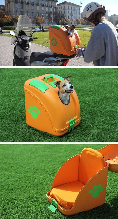 Dog Transport, Biker Dog, Airline Pet Carrier, Wooden Cat House, Pet Transport, Crate Training Puppy, Puppy Carrier, Biking With Dog, Dog Cage