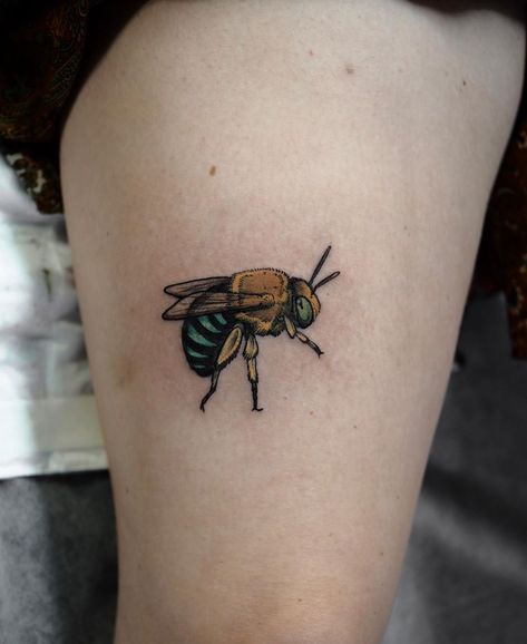 9,467 Likes, 68 Comments - Sophia Baughan (@sophiabaughan) on Instagram: “Native Australian Blue banded beeeeeeeee🐝🐝🐝🐝🐝” Poppy Flower Tattoo, Icelandic Poppies, Vegan Tattoo, Native Australians, Bee Tattoo, Little Tattoos, Blue Band, Couple Tattoos, Animal Tattoos