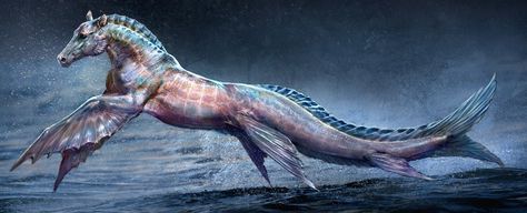 Hippocampus Greek Monsters, Sea Of Monsters, Arctic Sea, Life Under The Sea, Wildest Fantasy, Mermaids And Mermen, Monster Concept Art, Fantasy Castle, Mythological Creatures