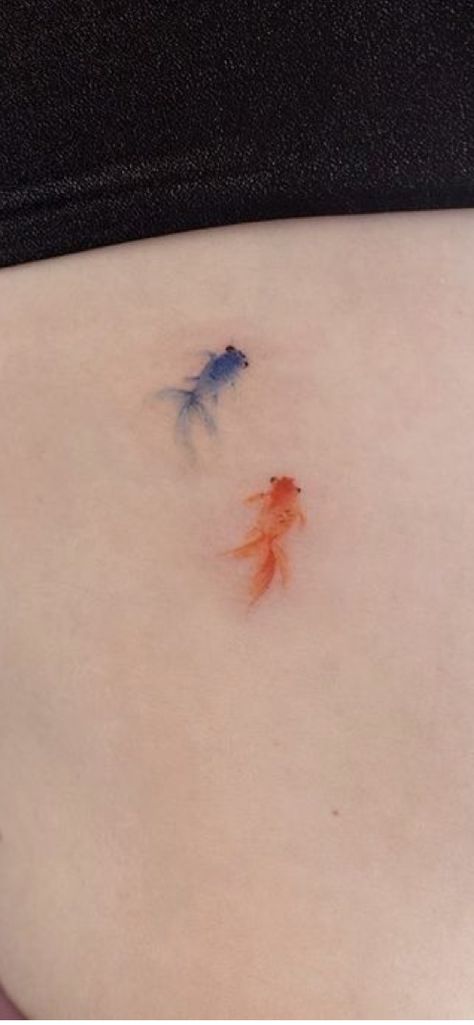 Tiny Goldfish Tattoo, Koi Fish Ear Tattoo, Small Goldfish Tattoo, Colour Fish Tattoo, Oranda Goldfish Tattoo, Gold Fish Tattoos, Colorful Koi Fish Tattoo, Goldfish Tattoo Simple, Colorful Fish Tattoo