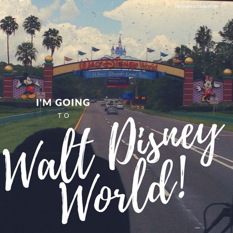 I’m Going To Disney World, Going To Disney World, Going To Disney, Disney Now, Disney World Hotels, Disney World Characters, Wilderness Lodge, Downtown Disney, Pixar Movies