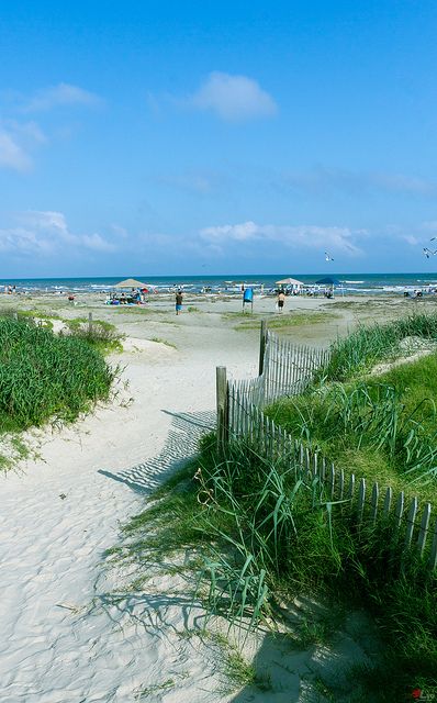 West End Beaches, #Galveston, Texas where we RV and we love it..Dellanera RV Park on the beach. Beach Pathway, Galveston Beach, Texas Beaches, Texas Places, Galveston Island, Galveston Texas, Galveston Tx, Texas Girl, Blue Curacao