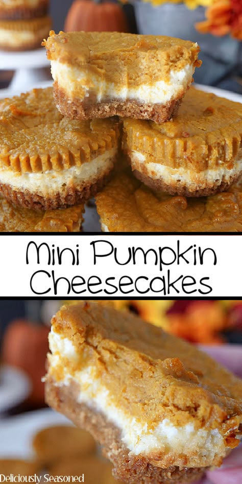 Mini Pumpkin Cheesecake Bites, Pumpkin Cheesecake Bites, Pumpkin Cheesecakes, Mini Pumpkin Cheesecake, Beaux Desserts, Pumpkin Cheesecake Recipes, Fall Baking Recipes, Pumpkin Recipes Dessert, Cheesecake Bites