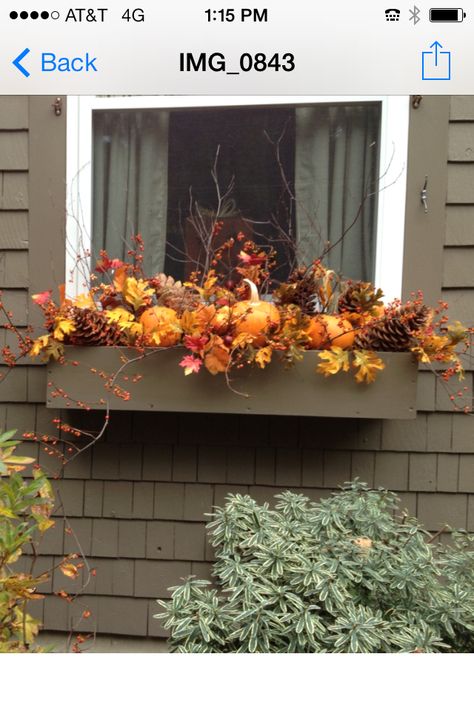 Fall window box: I have pinecones & pumpkins! This is my favorite so far :) Window Garden Ideas, Fall Flower Boxes, Fall Window Boxes, Fall Windows, Outside Fall Decor, Fall Containers, Window Box Flowers, Adornos Halloween, Fall Planters