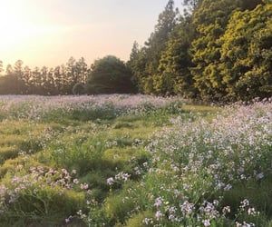 43 images about cottageCORE on We Heart It | See more about cottagecore, aesthetic and flowers Matka Natura, Belle Nature, Dry Creek, Images Esthétiques, Cottagecore Aesthetic, Alam Yang Indah, Nature Aesthetic, Flower Field, Pretty Places