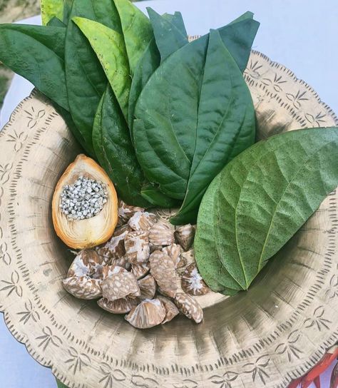 Betel Leaves(Paan) and Areca nuts(Tamul).Traditionally Assamese Assam Food, Assam Aesthetic, Assamese Aesthetic, Assamese Food, Assamese Culture, Areca Nut, Variety Food, South Asian Aesthetic, Indian Street Food Recipes