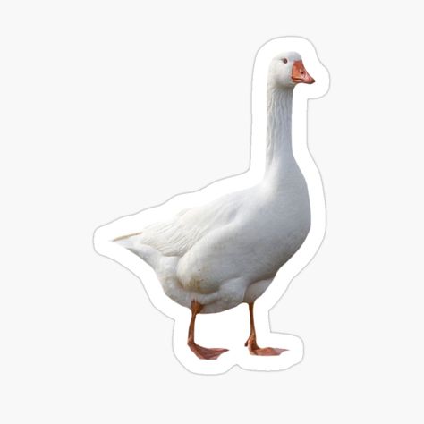 Get my art printed on awesome products. Support me at Redbubble #RBandME: https://www.redbubble.com/i/sticker/goose-by-milastudio/161663770.EJUG5?asc=u Duck Stickers, Goose Sticker, White Goose, White Duck, Dad Hats, Mouse Pad, Sticker Design, Baseball Cap, My Art