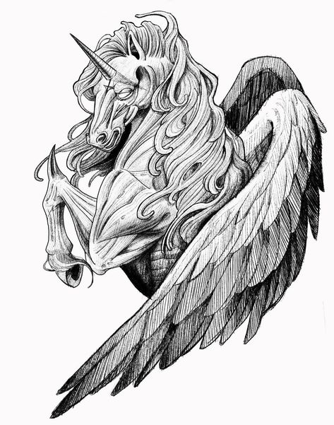 Unicorn Pegasus Tattoo, Pegasus Tattoo Design, Unicorn Tattoo, Pegasus Drawing, Pegasus Tattoo, Crow Tattoo Design, Pegasus Art, Horse Tattoo Design, Unicorn Tattoos