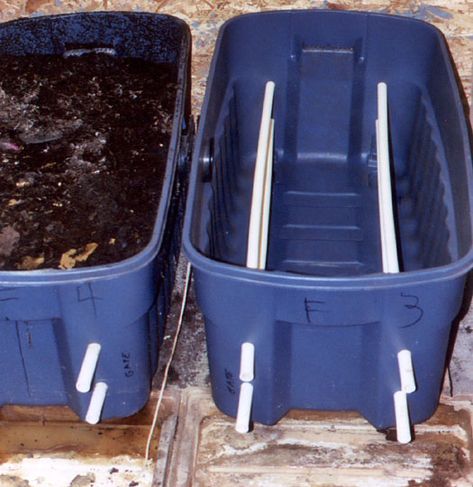 Building a Homemade Worm Composting System - Maine Organic Farmers and Gardeners Worm Farm Diy, Composting Bins, Worm Beds, Worm Composting Bin, Composting System, Red Wiggler Worms, Composting Bin, Red Wigglers, Worm Bin