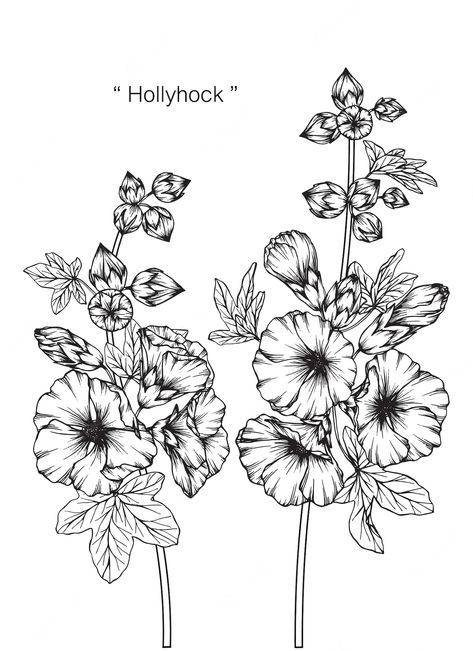 Hollyhock Flower, Alcea Rosea, Hollyhocks Flowers, Visual Library, Saree Embroidery Design, Image Film, Floral Sleeve, Cute Coloring Pages, Lotus Flower Tattoo