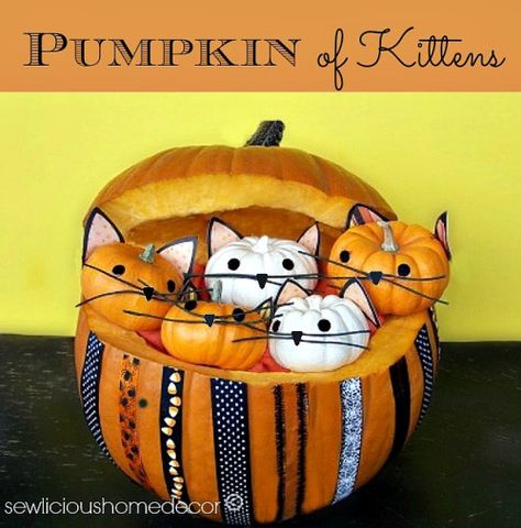 Adorable and easy tutorial!  #Pumpkin Full Of #Kittens #Tutorial #halloween  ::  #sewlicioushomedecor.com Hallowen Ideas, Fun Halloween Crafts, Pumpkin Art, Pumpkin Crafts, Diy Book, Pumpkin Decorating, A Pumpkin, Fall Fun, Fall Thanksgiving