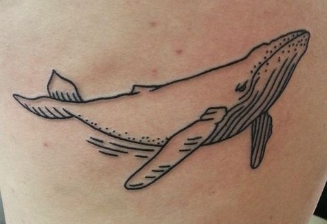 Whale Tattoo Arm, Whale Stencil, Humpback Whale Drawing, Humpback Whale Painting, Whale Photography, Whale Tail Tattoo, Humpback Whale Tattoo, Humpback Whale Art, Whale Outline