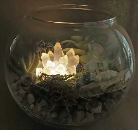 "Make your own light-up crystal terrarium bowl! 6 inch x 6 inch x 6 inch terrarium with faux succulents and light up crystal made out of glue sticks. Lighted crystal changes colors when you push down on the crystal. Loose yourself in this mini magical landscape! Makes a great gift for all ages! Perfect for brown-thumbs...no plant care involved. This will last forever!  Comes with 6\" glass bowl, moss, gravel, light-up crystal (comes with 3-AAA batteries), natural mesquite wood, and stones. Conte Fairy Light Terrarium, Fake Plant Terrarium, Alien Terrarium, Spooky Terrarium, Crystal Terrarium Diy, Faux Terrarium, Crystal Collection Display, Crystal Alter, Indoor Plant Care Guide