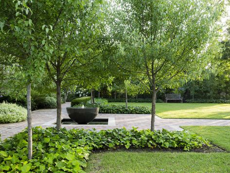 Peter Fudge, Snow Pear, Formal Garden Design, Landscape Designer, Formal Garden, Modern Garden Design, Contemporary Garden, Formal Gardens, Water Feature