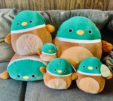 Duck Stuffed Animal, Cool Fidget Toys, Cute Squishies, Kawaii Plushies, Cute Pillows, Baby Sensory, Cute Stuffed Animals, Mallard, Cute Plush