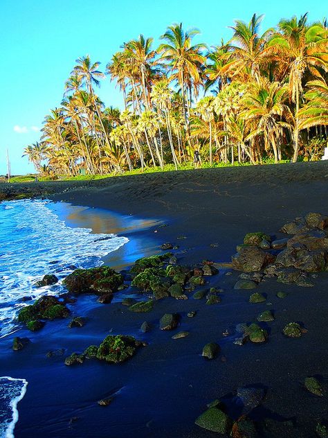 Black Sand at Punaluu Beach on the Big Island of Hawaii Punaluu Beach, Visit Hawaii, Big Island Hawaii, Hawaii Island, Hawaii Vacation, Beautiful Places In The World, Big Island, Hawaii Travel, Dream Destinations