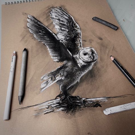 Charcoal Owl Drawing, Grey Sketchbook Art, Fun Art Challenges, Tap Drawing, Charcoal Animals, Pencil Colours, Charcoal Artwork, Owl Drawing, Art Challenges