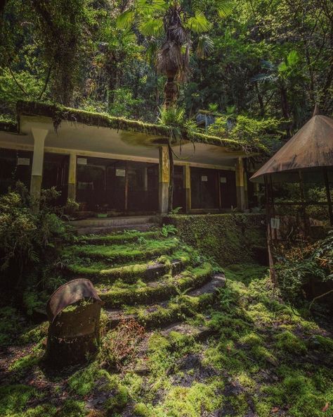 Beautiful Abandoned Places on Instagram: “Decaying resort that has been reclaimed by nature. Photography by @me_gu27” Abandoned Museum, Derelict Buildings, Old Abandoned Houses, Instagram Videos, Abandoned Mansions, Spooky Scary, Abandoned Houses, Abandoned Places, After Dark