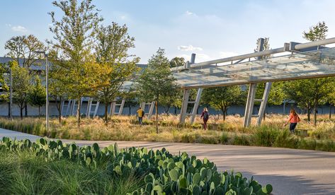 American Airlines Campus - OJB Blackland Prairie, Prairie Landscape, Black Soil, Specimen Trees, Dry Creek, Water Management, Landscape Features, Nature Conservation, American Airlines