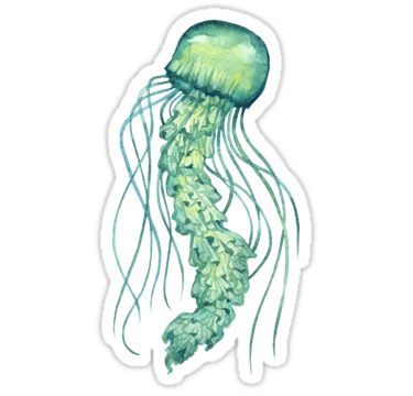 Green Jellyfish, Jellyfish Sticker, Arte Grunge, Cute Laptop Stickers, Green Sticker, Hydroflask Stickers, Bullet Journal Stickers, Stickers For Sale, Sticker Ideas