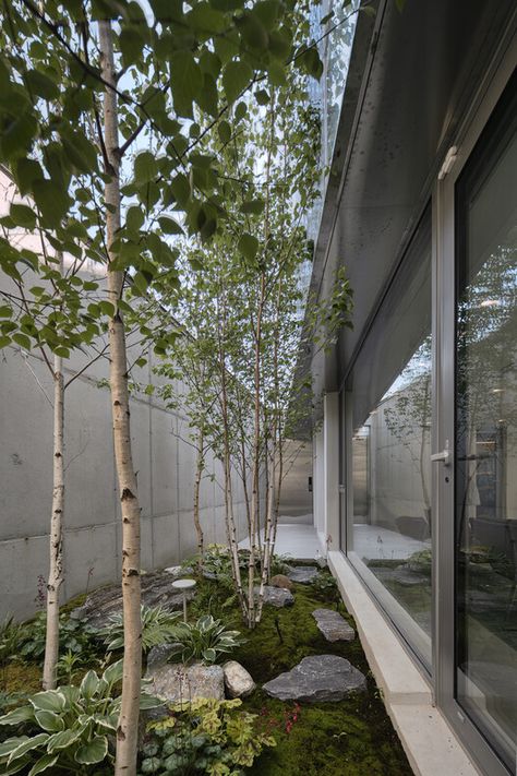 Gallery of Metal Facade House / Archirie - 8 Landscape Architecture Residential, Japandi Garden, Architecture Courtyard, Cluster House, Norfolk House, Atrium Design, Metal Facade, Internal Courtyard, Casa Container