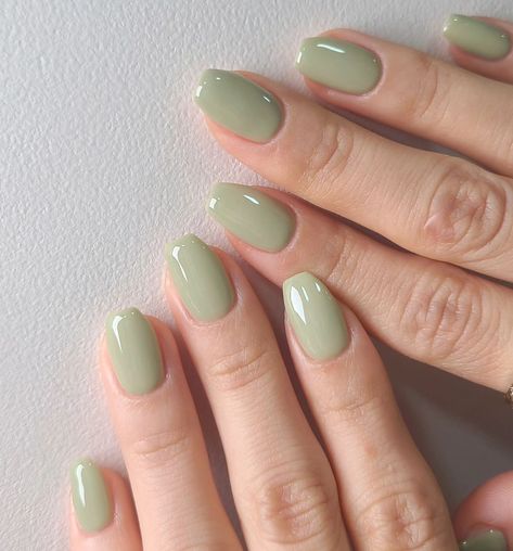 Sage Green Nails Round, Beige Green Nails, Pastel Green Gel Nails, Pistachio Green Nails Design, Milky Green Nails, Light Green Gel Nails Short, Matcha Nails Short, Sage Green Gel Manicure, Muted Nail Colors