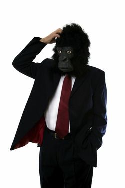 Gorilla Costume, Pun Costumes, Gorilla Costumes, Gorilla Mask, Gorilla Suit, In Omnia Paratus, Perfect Halloween Costume, Company Culture, Costume Mask