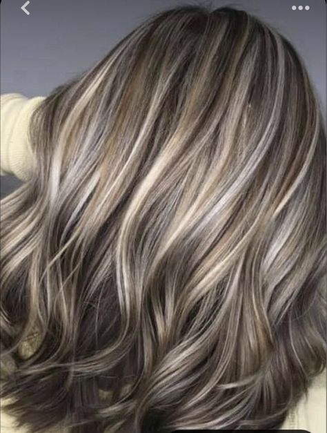 Light Brown With Gray Highlights, Ash Brown Grey Highlights, Transitioning Brown Hair To Gray, Gray Highlights On Light Brown Hair, Medium Brown Hair With Gray Highlights, Transitioning Grey Hair, Covering Grey Hair With Highlights, Light Brown Hair With Grey Highlights, Red To Gray Hair Transition