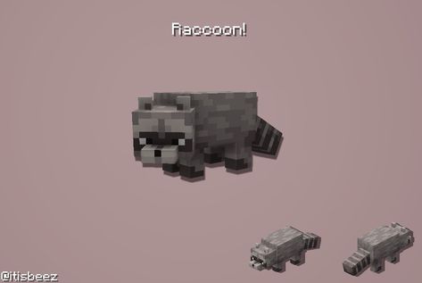 Raccoon Minecraft, Cit Minecraft, Blockbench Models, Minecraft Concept, Minecraft Animals, Minecraft Update, Minecraft Models, Minecraft Mod, Minecraft Mobs