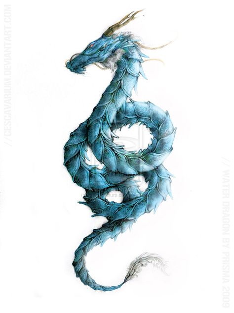 Chinese Water Dragon Tattoo, Water Dragon Tattoo, Dragon Tattoo Arm, Dragon Tattoo Meaning, Chinese Water Dragon, Dragons Tattoo, Dragon Tattoo Ideas, Small Dragon Tattoos, Chinese Dragon Tattoos