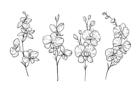 Free vector hand drawn orchid  illustrat... | Free Vector #Freepik #freevector Orchid Flower Tattoos, Sweet Pea Tattoo, Orchid Illustration, Orchid Drawing, Orchid Tattoo, April Birth Flower, Dibujos Tattoo, White Ink Tattoo, Muster Tattoos