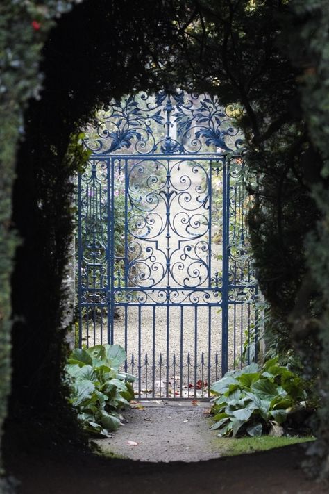 Garden Gate Design: 10 Iron Entryways with Curb Appeal Front Garden Privacy, Garden Doors And Gates, Decorative Gates, Pallet Gardens, Iron Garden Furniture, Iron Monger, Garden Gate Ideas, Arbor Gate, Ikea Garden Furniture