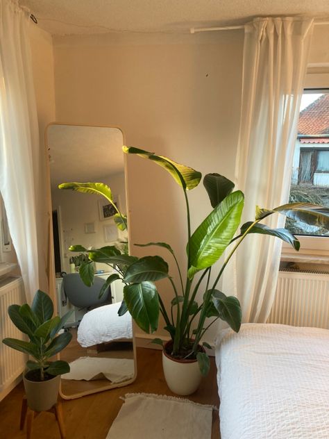 Green Clean Room Aesthetic, White Bedroom Plants, Green Plant Room Aesthetic, Greenery In Bedroom, White And Green Room, Plants Bedroom Ideas, Plants Bedroom, Colorful Room Decor, Nature Room