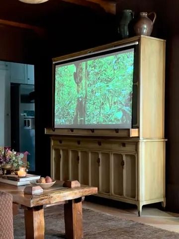 20 Ways to Stylishly Hide a TV in Plain Sight | domino How To Hide Tv In Bedroom, Ikea Hidden Tv Hack, Tv Hideaway, Diy Hidden Tv, Hide A Tv, Hide Your Tv, Hide Tv, Tv Hacks, Tv Storage Unit